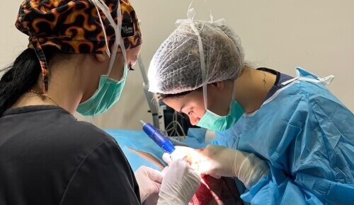 Equipe medica esegue un trapianto di capelli con strumenti avanzati.